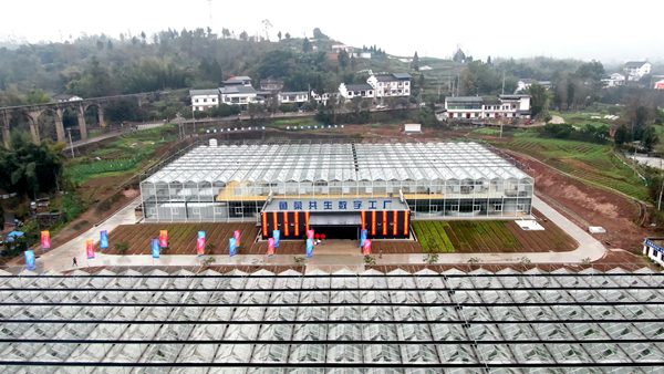 魚菜共生安數(shù)字工廠。熊偉攝