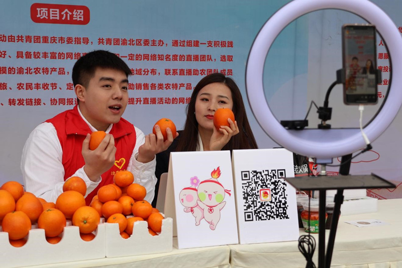 活動中，青年志愿者開展助農(nóng)直播。渝北區(qū)委宣傳部供圖