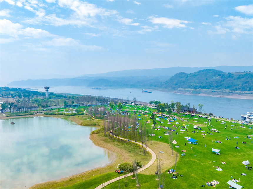 廣陽島草色正青，吸引不少市民露營。郭旭攝