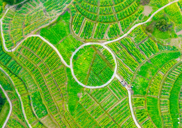 俯瞰云燕花語景區(qū)。一品街道供圖