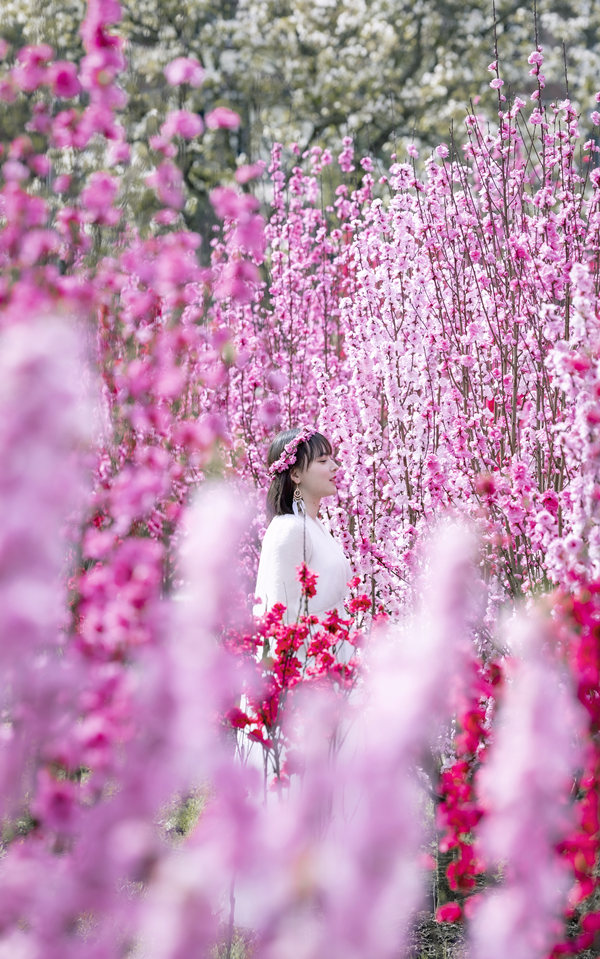 游客在花海中游玩。汪新攝