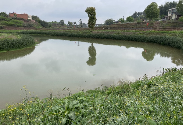 現(xiàn)今的大陸溪河水清澈。實(shí)習(xí)生越倚航攝