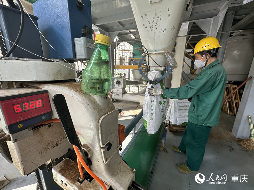 餐廚垃圾加工成肥料正在裝袋。人民網(wǎng) 劉政寧攝