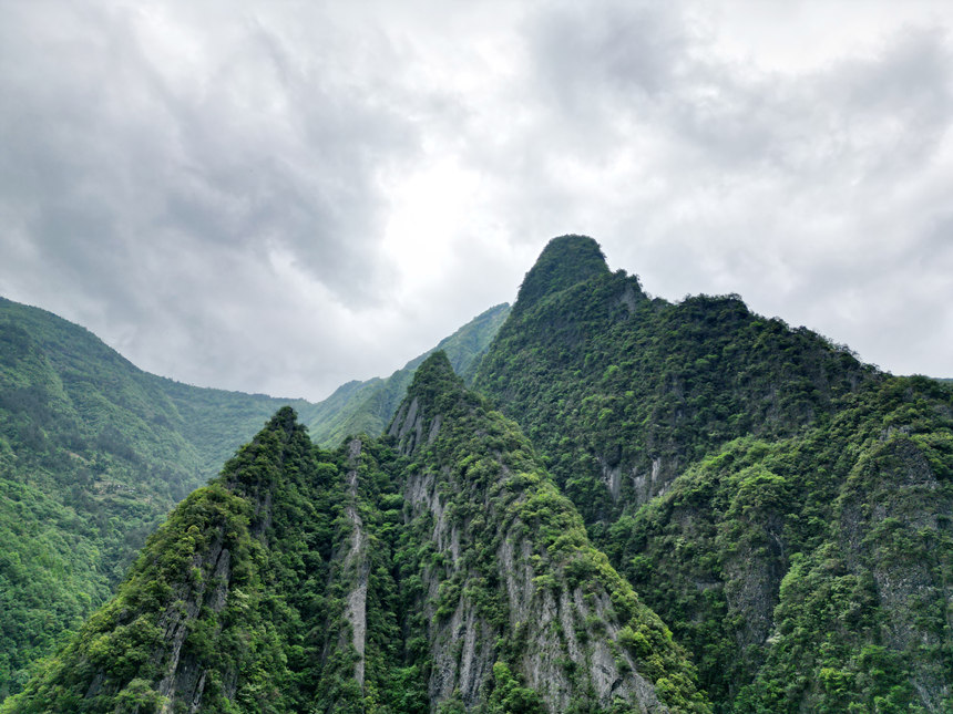 重慶五里坡國(guó)家級(jí)自然保護(hù)區(qū)。魯作炳攝