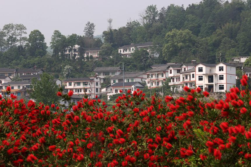 馮家街道寨子社區(qū)民居。楊敏攝