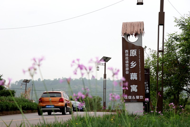 小院打造的民宿吸引游客前往玩耍。胥世鵬