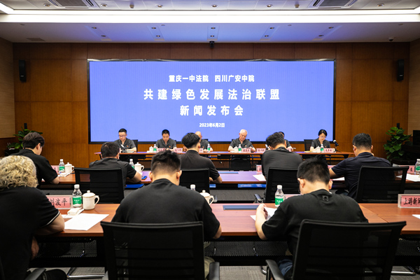 新聞發(fā)布會現(xiàn)場。重慶一中法院供圖