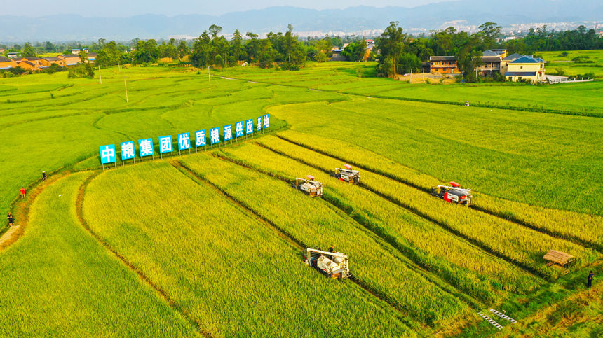 梁平素有“巴蜀糧倉”的美譽。 劉輝攝