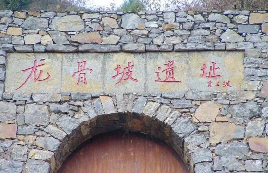 龍骨坡遺址（資料圖）。巫山縣委宣傳部供圖