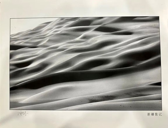 部分作品預(yù)覽。重慶聯(lián)合麗格整形美容醫(yī)院供圖