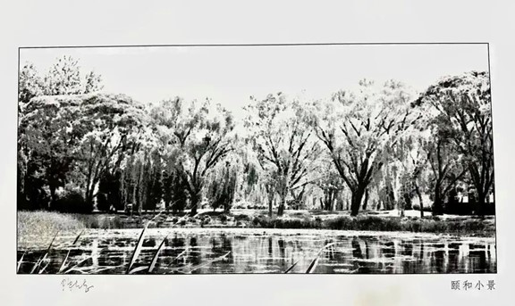 部分作品預(yù)覽。重慶聯(lián)合麗格整形美容醫(yī)院供圖