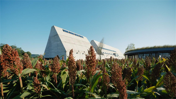 大地藝術(shù)館。主辦方供圖