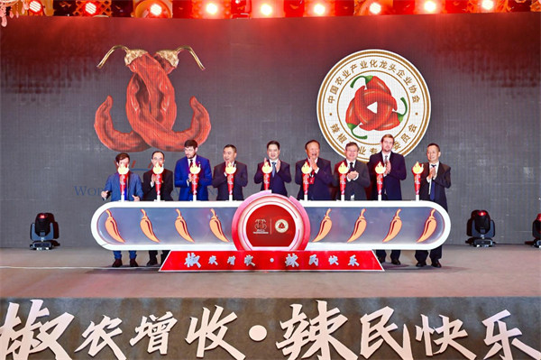 活動(dòng)現(xiàn)場(chǎng)。主辦方供圖