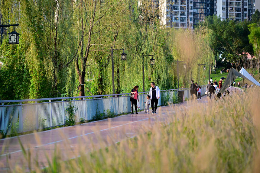 南岸區(qū)大魚海棠公園，市民樂享周末好時光。郭旭攝