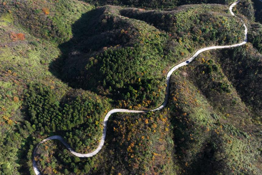 重慶市黔江區(qū)國家森林公園彩葉林。楊敏攝