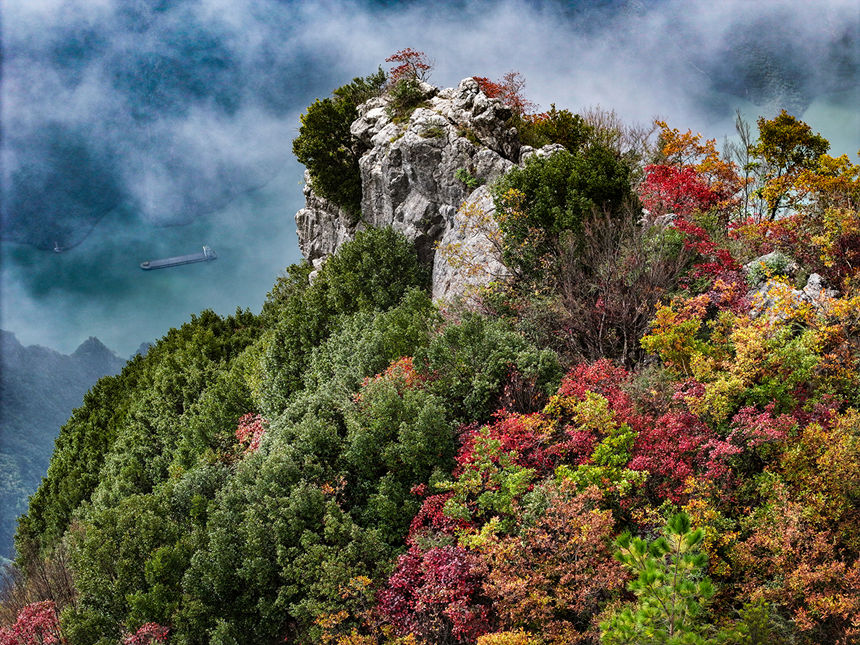 深秋時節(jié)，紅葉扮美長江巫峽。王正坤攝