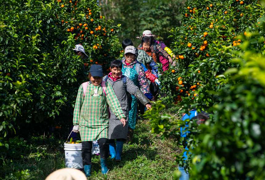 果林飄香，村民笑容燦爛。冉孟軍攝