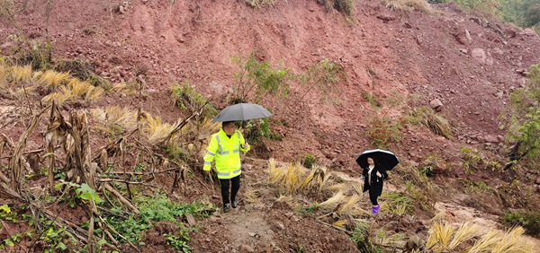 《守護(hù)者》（組圖）三。圖為11月9日，銅鼓鎮(zhèn)片區(qū)負(fù)責(zé)人趙祖群和水流村群測群防員王安然在兌窩子坪滑坡中心區(qū)域進(jìn)行排查，持續(xù)監(jiān)測地災(zāi)隱患點(diǎn)，防止次生災(zāi)害發(fā)生。劉勇攝