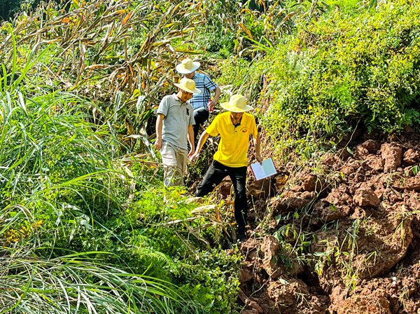 《山林間走出“安全”》。8月22日，市級專家余波、張志偉和重慶地質礦產研究院駐守工程師王剛一起跋涉在山間，對南川區(qū)大觀鎮(zhèn)鐵橋村五顯廟滑坡現場踏勘。張旭攝