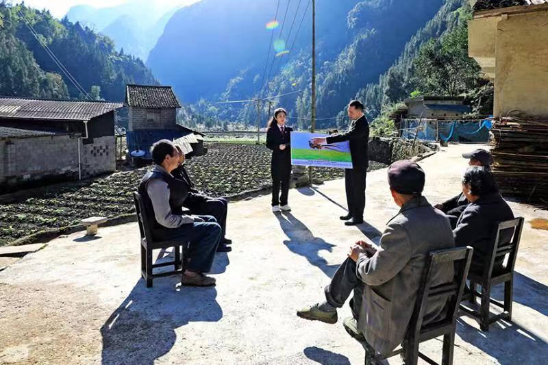 法官向村民展示白冠長(zhǎng)尾雉圖片。邊俊銘攝