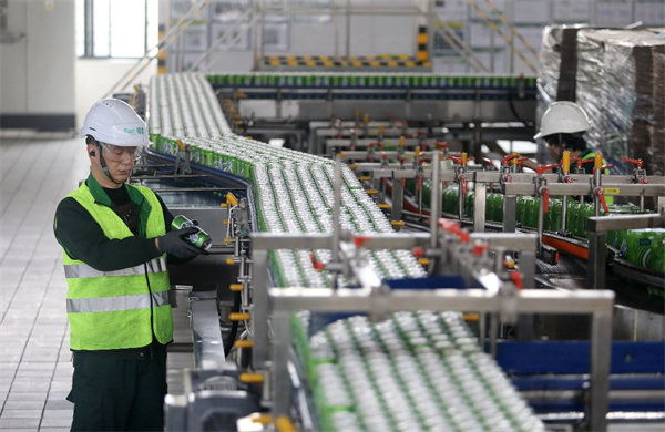 資料圖。重慶啤酒供圖