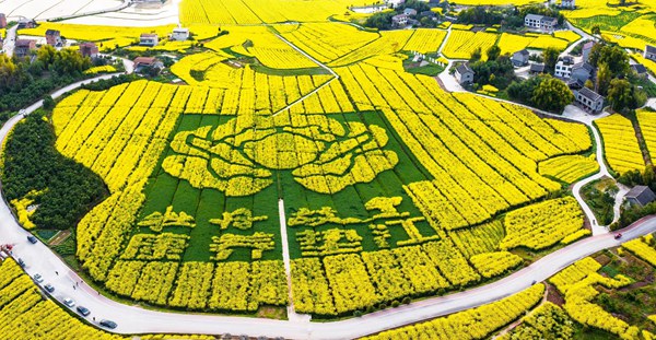 墊江油菜花。墊江縣文旅委供圖