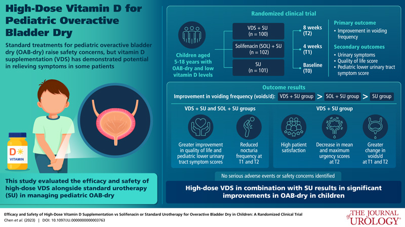 國際權(quán)威期刊《泌尿外科》發(fā)表劉星、魏光輝教授團隊研究成果。
