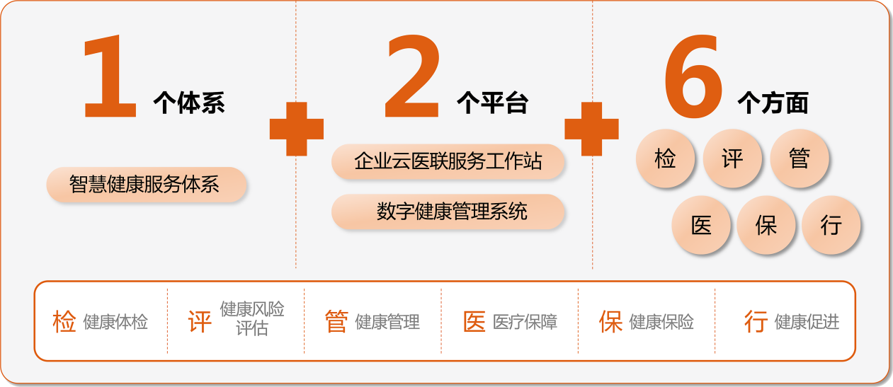 “1+2+6”資料圖。愛康集團(tuán)重慶分公司供圖