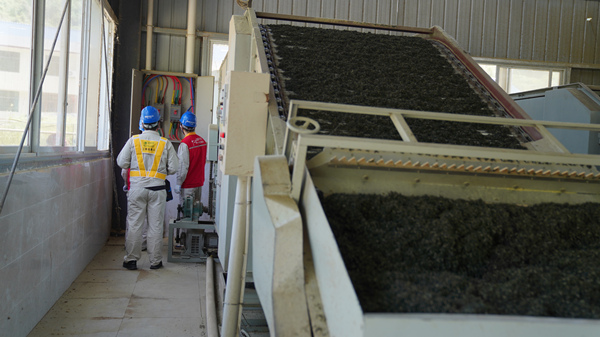 國(guó)家電網(wǎng)紅巖（秀山潤(rùn)德）共產(chǎn)黨員服務(wù)隊(duì)隊(duì)員在秀山縣平馬猛董聯(lián)合茶葉加工廠檢查用電設(shè)備。萬(wàn)雪蓮攝