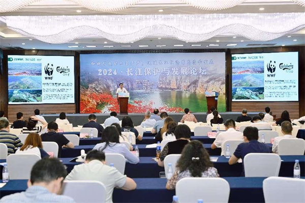 活動(dòng)現(xiàn)場(chǎng)。主辦方供圖