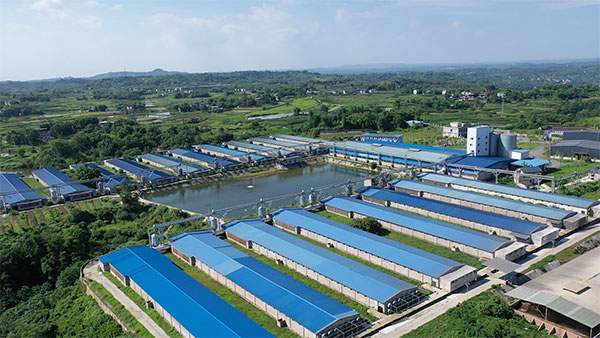 重慶萬源禽蛋食品有限公司全貌。曾英豪 攝