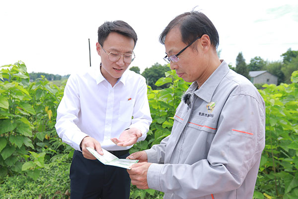 工行工作人員介紹金融產(chǎn)品。戚馨月 攝