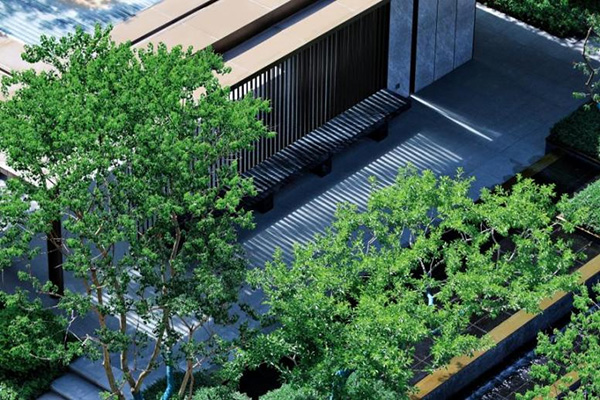 中綠江州實拍圖，拍攝于2024年5月。中國綠發(fā)重慶公司供圖