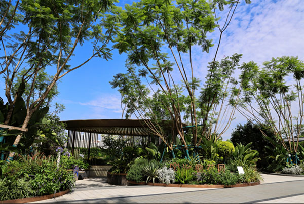 中綠江州實拍圖，拍攝于2024年5月。中國綠發(fā)重慶公司供圖