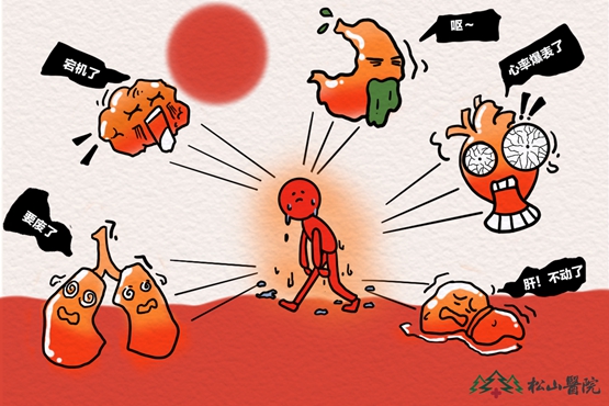 熱射病可能引發(fā)的多器官受損。重慶松山醫(yī)院供圖