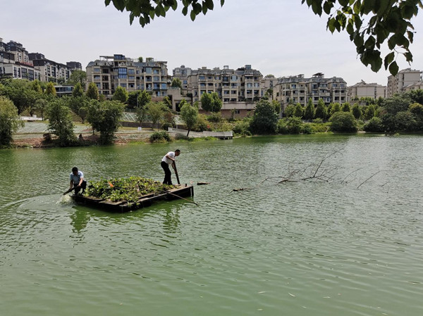 金科服務人正在清理河面。金科服務供圖