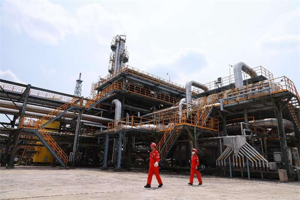 驕陽(yáng)下的“石油紅”。曾英豪攝