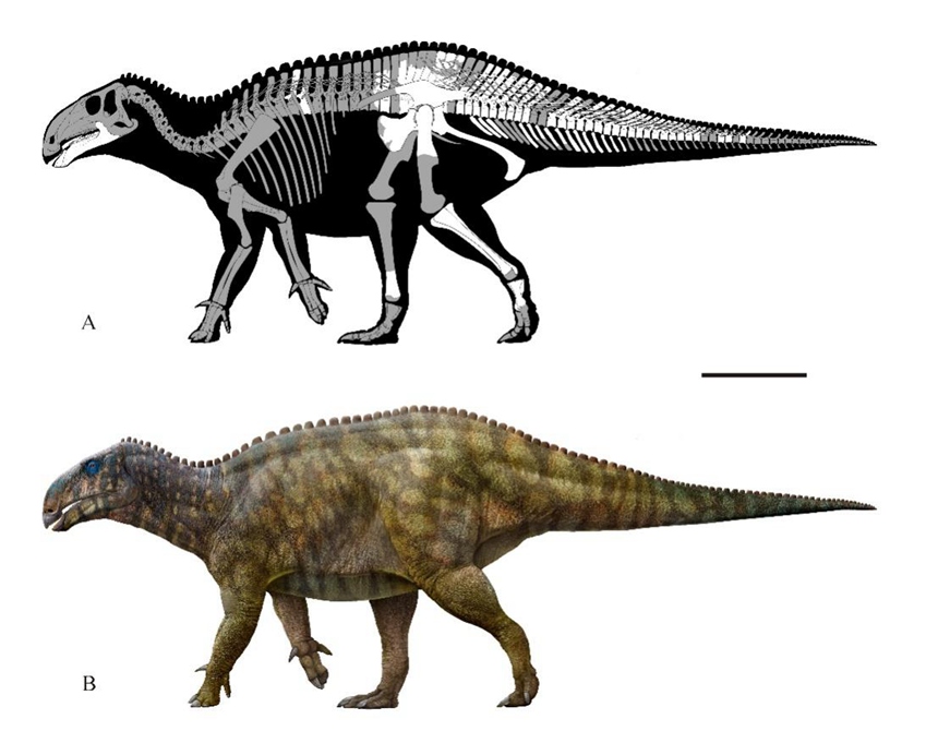 長(zhǎng)生黔江龍復(fù)原圖。重慶市規(guī)劃和自然資源局供圖