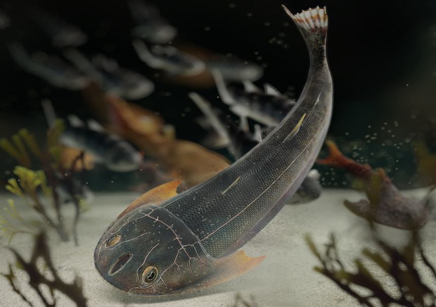 雙叉苗家魚生態(tài)復(fù)原圖，背景為重慶特異埋藏化石庫奇跡秀山魚、蠕紋沈氏棘魚和靈動(dòng)土家魚（擬石科技制圖）。重慶市規(guī)劃和自然資源局供圖