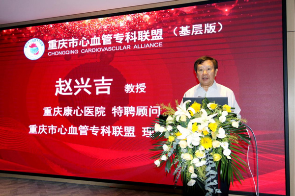 趙興吉在會(huì)上發(fā)言。重慶康心醫(yī)院供圖