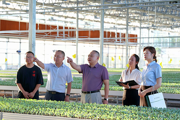 郵儲銀行工作人員實地調(diào)研走訪。向詩佳 攝