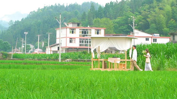 區(qū)陽田園風(fēng)光。郵儲銀行重慶分行供圖