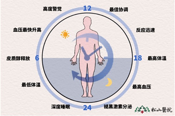 24小睡眠生理周期。重慶松山醫(yī)院供圖