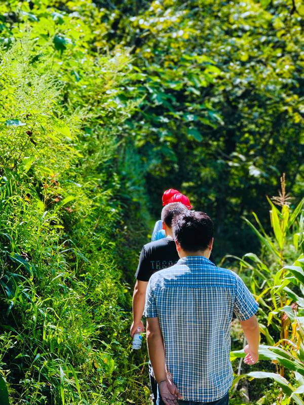 《背影》。8月29日，川東南勘察公司地災(zāi)防治事業(yè)部技術(shù)負(fù)責(zé)人謝應(yīng)坤及駐守地質(zhì)工程師楊彬、王森林、劉英劍到城口縣厚坪鄉(xiāng)龍盤村地災(zāi)隱患點實地晨巡。孫煜攝