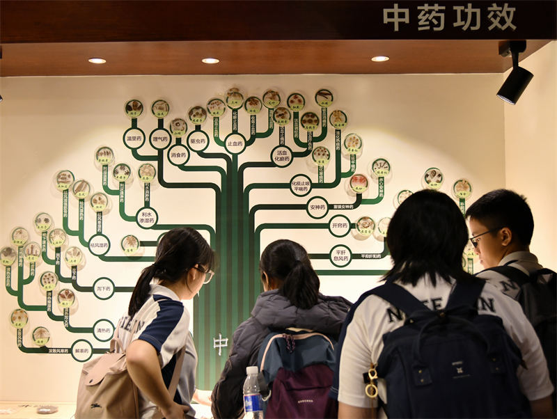 10月28日，30名來自新加坡的師生走進重慶市中藥博物館參觀見學，圖為師生們正在參觀各類中藥材標本。唐志勇攝