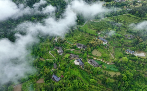 鵝池鎮(zhèn)社溪村的民居。黔江區(qū)委宣傳部供圖