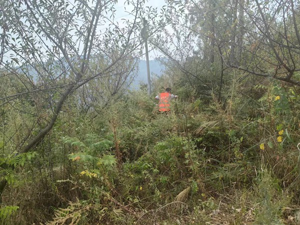 《巡查檢查監(jiān)測(cè)儀器（組圖）》。9月27日，巫山縣銅鼓鎮(zhèn)收到監(jiān)測(cè)儀器發(fā)出告警，駐守地質(zhì)工程師王忠凌前往儀器所在地查看告警原因。夏鑫偉攝