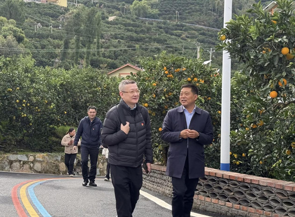 走進永樂鎮(zhèn)長凼村、大壩村臍橙產(chǎn)業(yè)園了解發(fā)展狀況。光大銀行重慶分行供圖