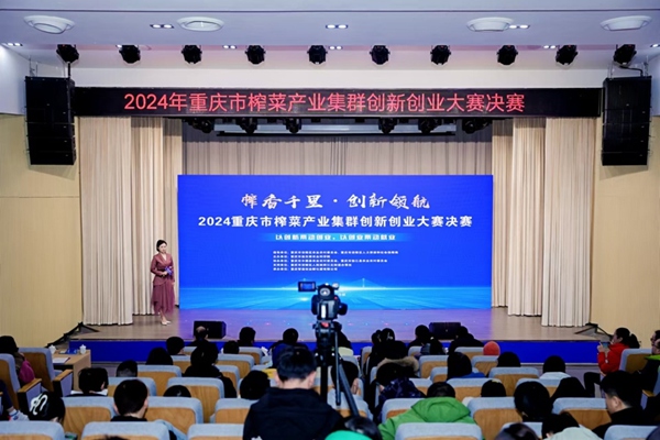 比賽現(xiàn)場。主辦方供圖