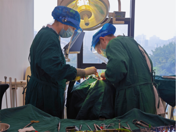 醫(yī)生為患者進(jìn)行牙齒治療。泰康拜博口腔供圖